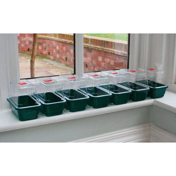 Lot de 3 Mini serres propagator High Dome