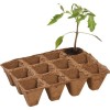 Pack de 36 pots fibre biodégradables 5 cm