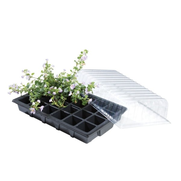 Mini serre Propagator