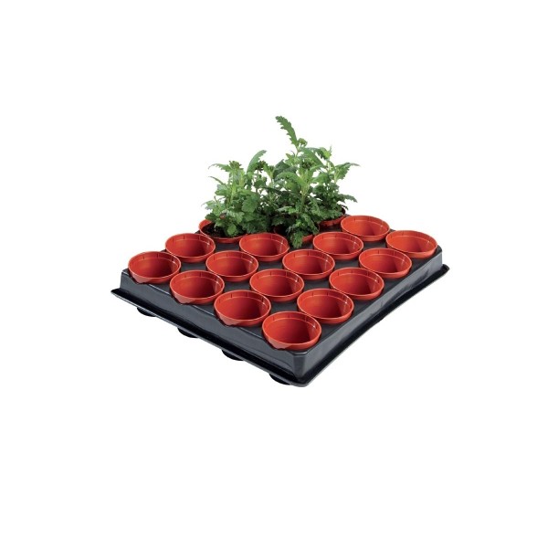 Mini plateau de semis et de coupe professionnel (pots de 20 x 6 cm)