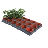 Empotage professionnel sur plateau (pots de 18 x 9 cm)