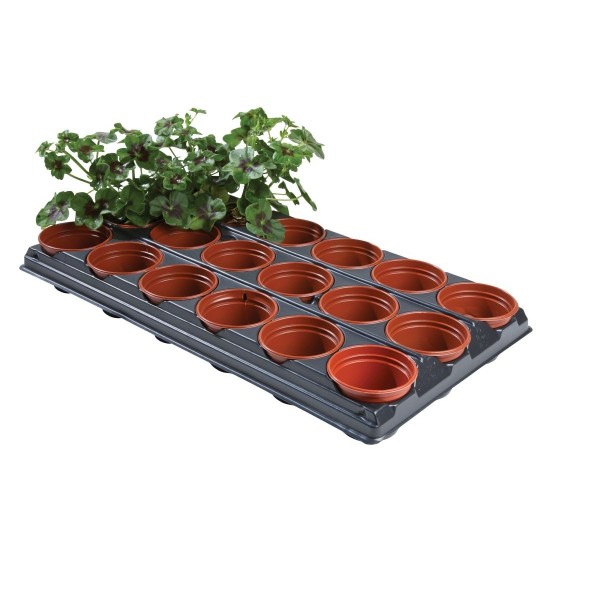 Empotage professionnel sur plateau (pots de 18 x 9 cm)