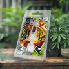 Wax Purple Haze 1ml 66% CBD | PLANT OF LIFE