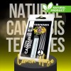 Terpène Lemon Haze | PLANT OF LIFE