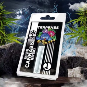 Terpène Blueberry Diesel | PLANT OF LIFE