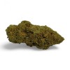 Fleur de CBD Amnesia 2.0 Greenhouse