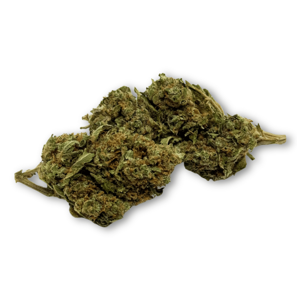 Déstockage Fleur de CBD Harlequin Indoor - Quantité Limitée