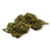 Déstockage Fleur de CBD Harlequin Indoor - Quantité Limitée